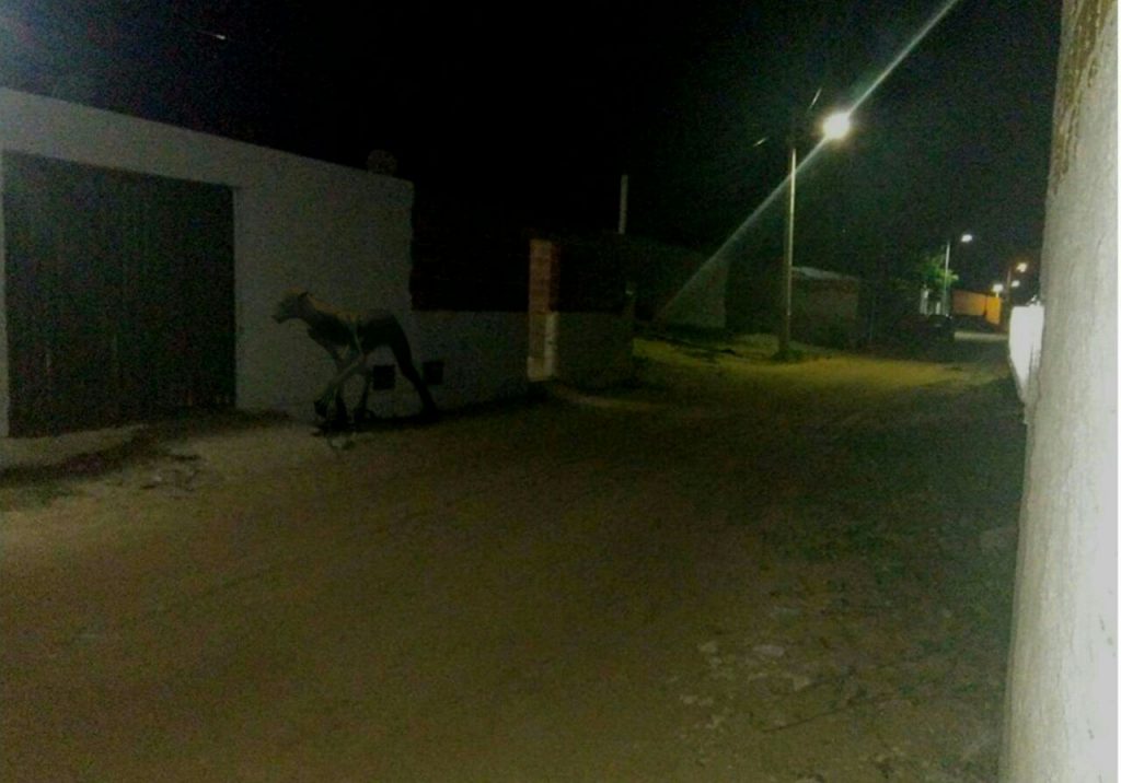 Chupa-cabras aparece em Sergipe