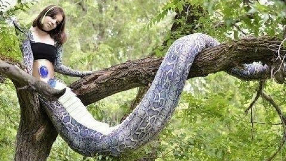 Mulher-cobra aparece em Itatira