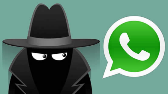 Saiba como rastrear WhatsApp