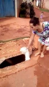 Mulher joga cachorro vivo dentro de caixa de esgoto