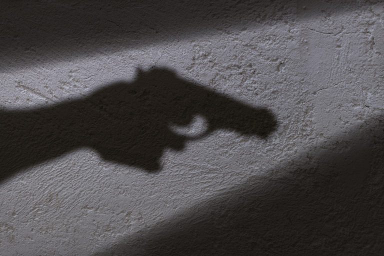 Menina de 10 anos se mata com revólver do pai em São Caetano